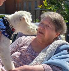 Oscar telling his Mom.... I'm ready to come back in now !! 💙🐶💙😂
