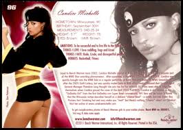 Candice Michelle 96 2011 Bench Warmer Limited