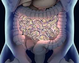 Viral gastroenteritis is the second most common illness in the u.s. Streamlining Management Of Acute Gastroenteritis In Pediatrics