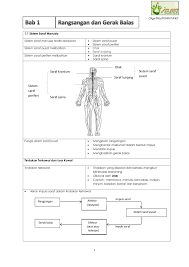 30 kssm sains sukan tingkatan 4 standard kandungan standard pembelajaran catatan 2.3 kawal atur sistem tubuh manusia sistem saraf dan sistem 2.3.1 menyatakan pembahagian. Modul Bab 1 Flip Ebook Pages 1 37 Anyflip Anyflip