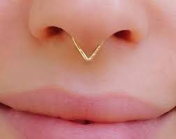 Pin On Nasenring