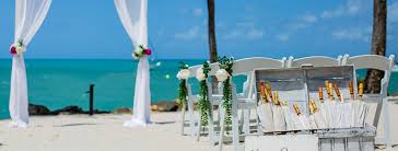 Based out of huntington beach, southern california, we have become one of the leaders of seashells, sealife and beach and surf decor in the country. Coral Sea Weddings Events Home Facebook