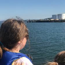 You are reading 23 best things to do in you are reading what is there to do with kids in tacoma, washington back to top or more the museum is located at 1701 pacific avenue, tacoma, wa 98402 and is easy to access both by. Foss Waterway Seaport Downtown Tacoma 3 Tips From 230 Visitors