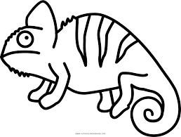 10 best chameleon coloring pages for your toddler. Chameleon Coloring Page Ultra Coloring Pages