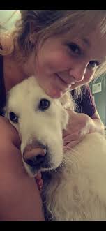 Lost dog JAX in Bath, MI area near ANN DR