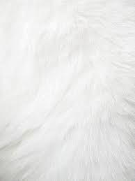 Old wall texture containing background, stone, and texture. Pin By Sarah Peters On Inspired Fur Background White Fur White Aesthetic