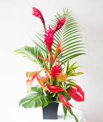 Maybe you would like to learn more about one of these? Seasonal Tropical Flower 1 Exquisite Basket Expressions