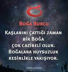 Boga Burcu Burclar Burc Bilgileri