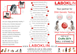 Laboklin Uk Genetic Diseases Dogs