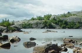 Maine Cooperative Fish and Wildlife Research Unit and Department of  Wildlife Ecology, University of Maine 2012 Report to Coopera