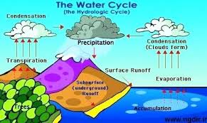 Diagram Of The Hydrologic Cycle Alt Win Water Cycle Diagram