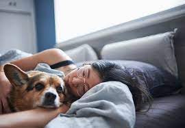 How To Cope With And Mourn The Loss Of A Pet – Cleveland Clinic