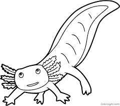 Cute cartoon animal coloring pages cute giraffe coloring pages cute. Axolotl Coloring Pages Coloringall