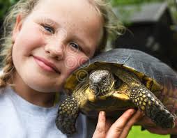 39714633-Tilly Smith, aged nine, with Winnie the tortoise, aged 123 years,  at their home at Brooke.