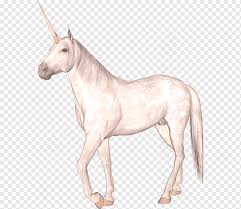 The largest free transparent png images clipart catalog for design and web design in best resolution and quality. Ø§Ù„Ø­ØµØ§Ù† ÙŠÙˆÙ†ÙŠÙƒÙˆØ±Ù† Ù…Ø§Ù†ÙŠ Ø§Ù„Ø±Ø³Ù… Ø¨Ø§Ù„Ø£Ù„ÙˆØ§Ù† Ø§Ù„Ù…Ø§Ø¦ÙŠØ© Mitologia Ø§Ù„Ø­ØµØ§Ù† Ø§Ù„Ø±Ø³Ù… Ø¨Ø§Ù„Ø£Ù„ÙˆØ§Ù† Ø§Ù„Ù…Ø§Ø¦ÙŠØ© Ø§Ù„ÙØ±Ø³ Png