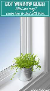 The lighter ones are empty shells. Small Grey Flying Insects In Bathroom Ideas Minimalist Home Design Ideas