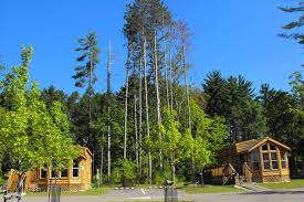 Winton Woods Campground Cabin House Styles Photography