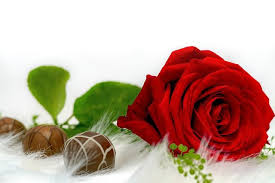Pin By Elena Elena On Flori In 2020 Flower Rose Images Red Rose Pictures Rose Images