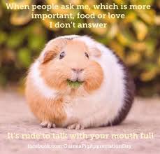 [Image: images?q=tbn:ANd9GcT5Zl_t1OKKyZzeMDXbTJo...bXOfj4Mg&s]