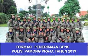 Tidak ada nilai yang lebih tinggi dari itu di semua formasi dan. Formasi Penerimaan Cpns Polisi Pamong Praja Tahun 2019 Info Lowongan Kerja Terbaru Info Lowongan Kerja