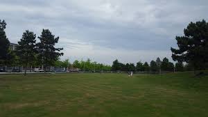 Tout au long de ces espaces, le parc se décline autour des thèmes de l'eau et des corridors boisés, afin d'en faire un relais pour la trame verte et bleue constituée par le canal de. Merci Pour Ce Nettoyage Du Parc Du Nouveau Monde A La Jeunesse Des Quartiersnord Roubaix Quartiersnord Roubaix