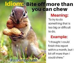 Bite Off More Than You Can Chew Idiom Origin Pin On Languages
