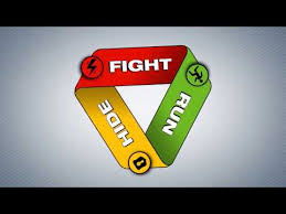 Ads help us pay the bills and keep providing this service for free. Sausd Run Hide Fight Elementary School Youtube