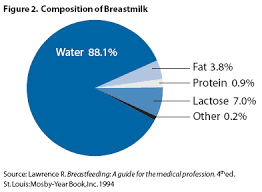 Exclusive Breastfeeding Frequently Asked Questions Faq Rehydration Project