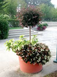 Santa suit ho ho ho 15 art planter, outside/indoor planter, gardening, pot, santa, winter planter. How To Create The Best Large Flower Pots On The Block
