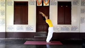 30 Minutes Practice Of Sivananda Yoga For Beginners To Intermediates Youtube