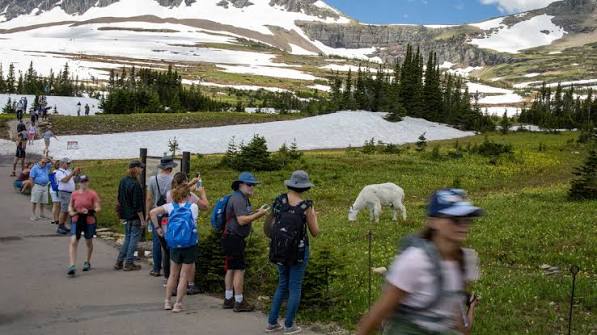 Wildlife shows wide range of responses to human presence in U.S. national parks | Nebraska Today