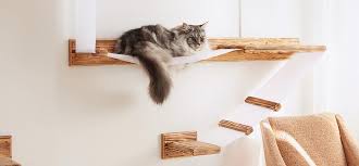 Not just to support his weight, but to these cool cat trees are essentially tall scratching posts with a large cat bed on top. 15 Best Cat Trees For Small Spaces Based On Your Cat S Needs Tiny Partments