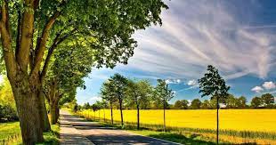 20 Laptop Wallpapers Windows 10 Wallpaper Windows 10 Full Hd Bora Bora Windows Wallpapers Top Nature Desktop Wallpaper Laptop Wallpaper Wallpaper Windows 10