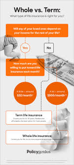 term vs whole life insurance what is the difference