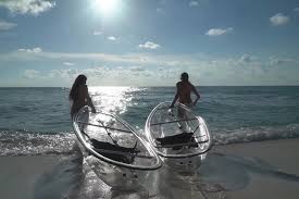 We will book again on our next trip to st. Small Group Clear Kayak Tour In Shell Key 2021 St Petersburg