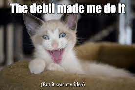 Stop Giving Him Ideas Funny Cat Memes Cute Animals With Funny Captions Cat Quotes Funny