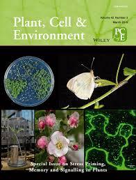 Check spelling or type a new query. Special Issue On Stress Priming Memory And Signalling In Plants Plant Cell Environment Vol 42 No 3