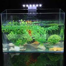 10 tanaman hias aquarium akuarium air tawar dan cara perawatannya. Super Slim 5w Led Tahan Air Aquarium Lampu Untuk Tangki Ikan Tanaman Air Tumbuh Clip On Lampu Ikan Perlengkapan Lightings Aliexpress