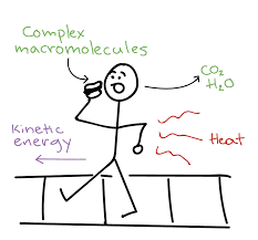 Jan 15, 2020 · learn what kinetic energy is and how it's measured, and explore some everyday examples of kinetic energy at work in this lesson. The Laws Of Thermodynamics Article Khan Academy