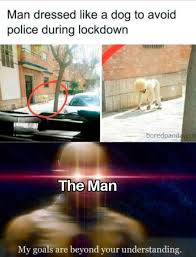 He S Too Dangerous To Be Kept Alive In 2020 Stupid Memes Stupid Funny Memes Funny Relatable Memes