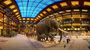 C'est le printemps, comme on peut le voir sur les. La Grande Galerie De L Evolution Fete Jardin Des Plantes Facebook