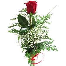 Resultado de imagen de rosa