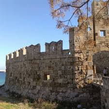 Image result for Sorindeia rhodesica