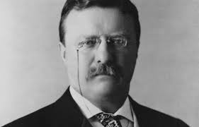 Presidents and the Constitution