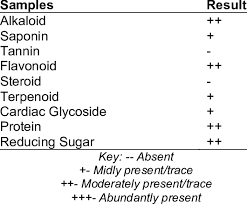 Image result for Cissus aralioides