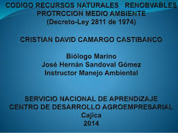 Por el cual se dicta el código nacional de recursos naturales renovables y de protección al medio ambiente. Recursos Naturales