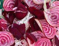Preserving and fermenting — Swn Y Coed
