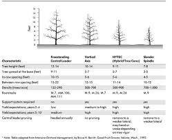 The trees are planted in high density, up to 1,000 or more trees per acre, about three times the number in a typical orchard. High Density Apple Orchard Management Nc State Extension Publications