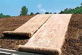 What Can Prevent Erosion Erosion