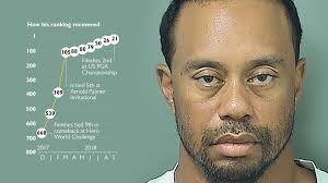 Tiger Woods book extracts: How Michael Phelps helped Tiger recover from  rock bottom